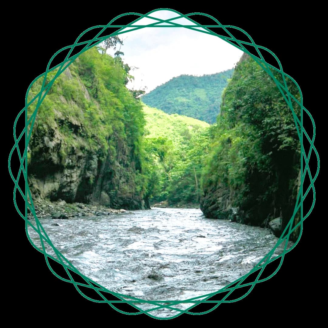 Río entre las montañas de la región esmeraldífera de Colombia